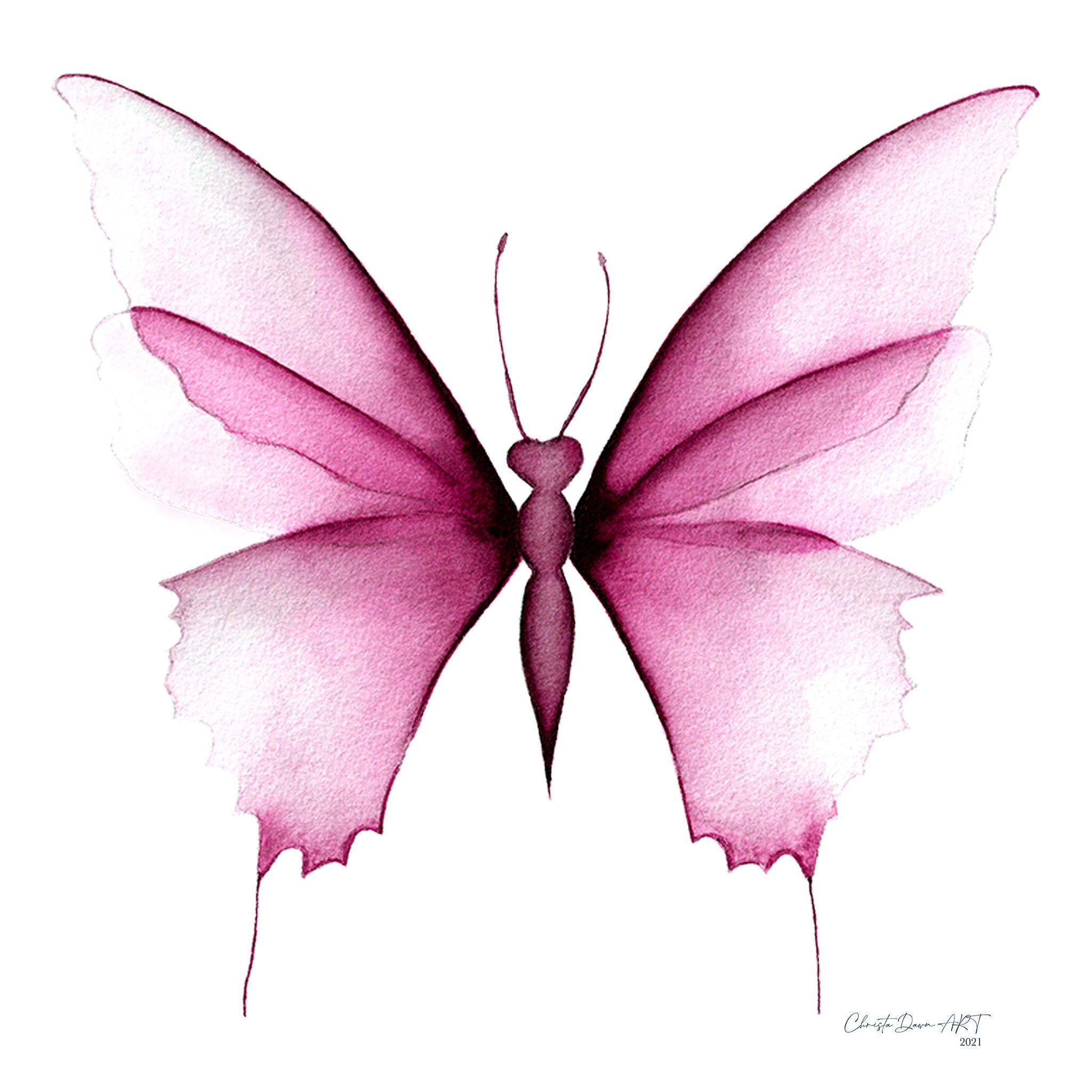 "Heidi in Pink" Butterfly Greeting Card Set