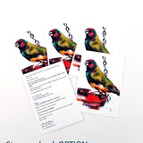 "Hopeful Expectations" Colorful Watercolor Bird Greeting Card Set_story on back option