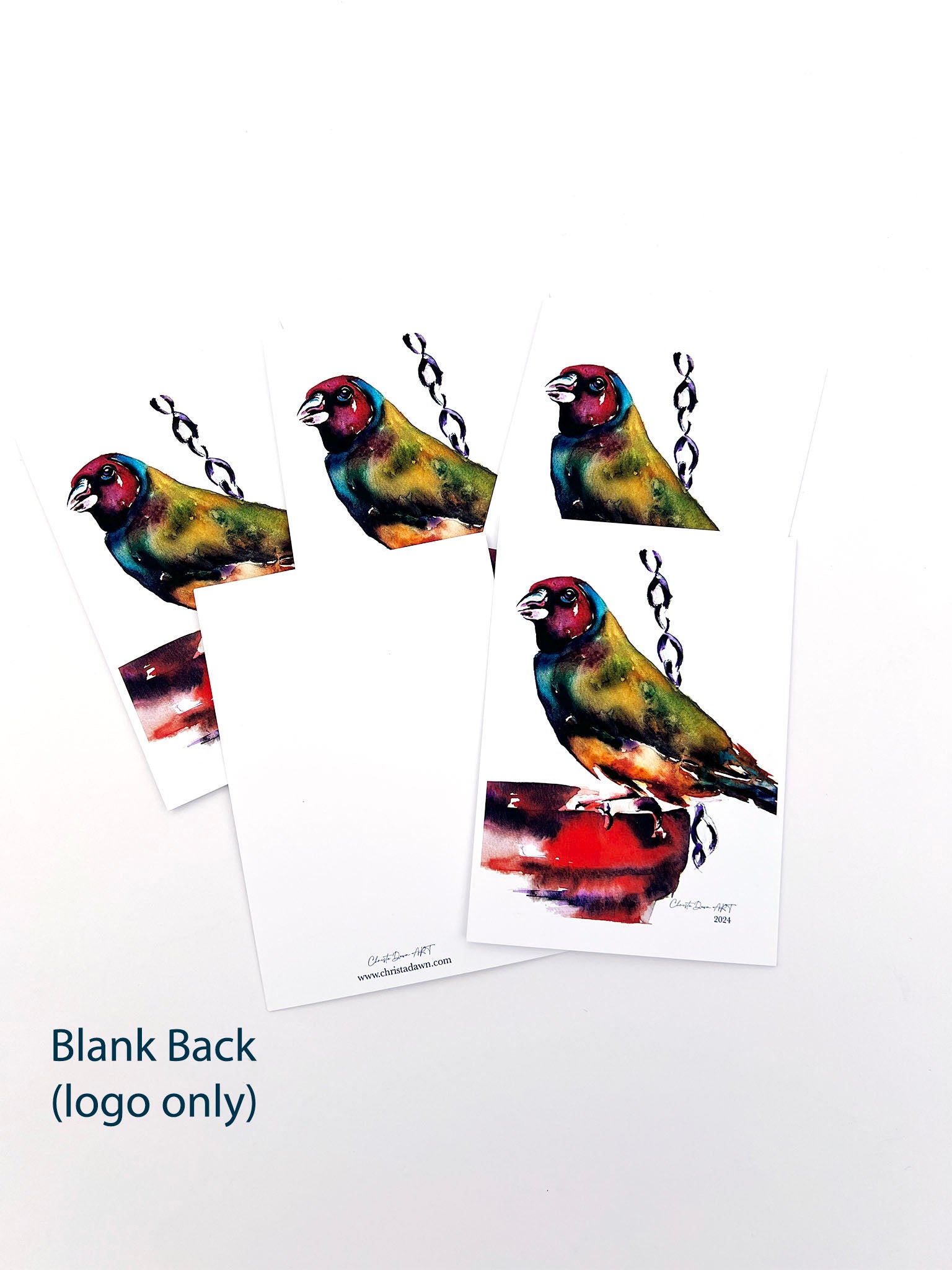"Hopeful Expectations" Colorful Watercolor Bird Greeting Card Set_blank back_logo only
