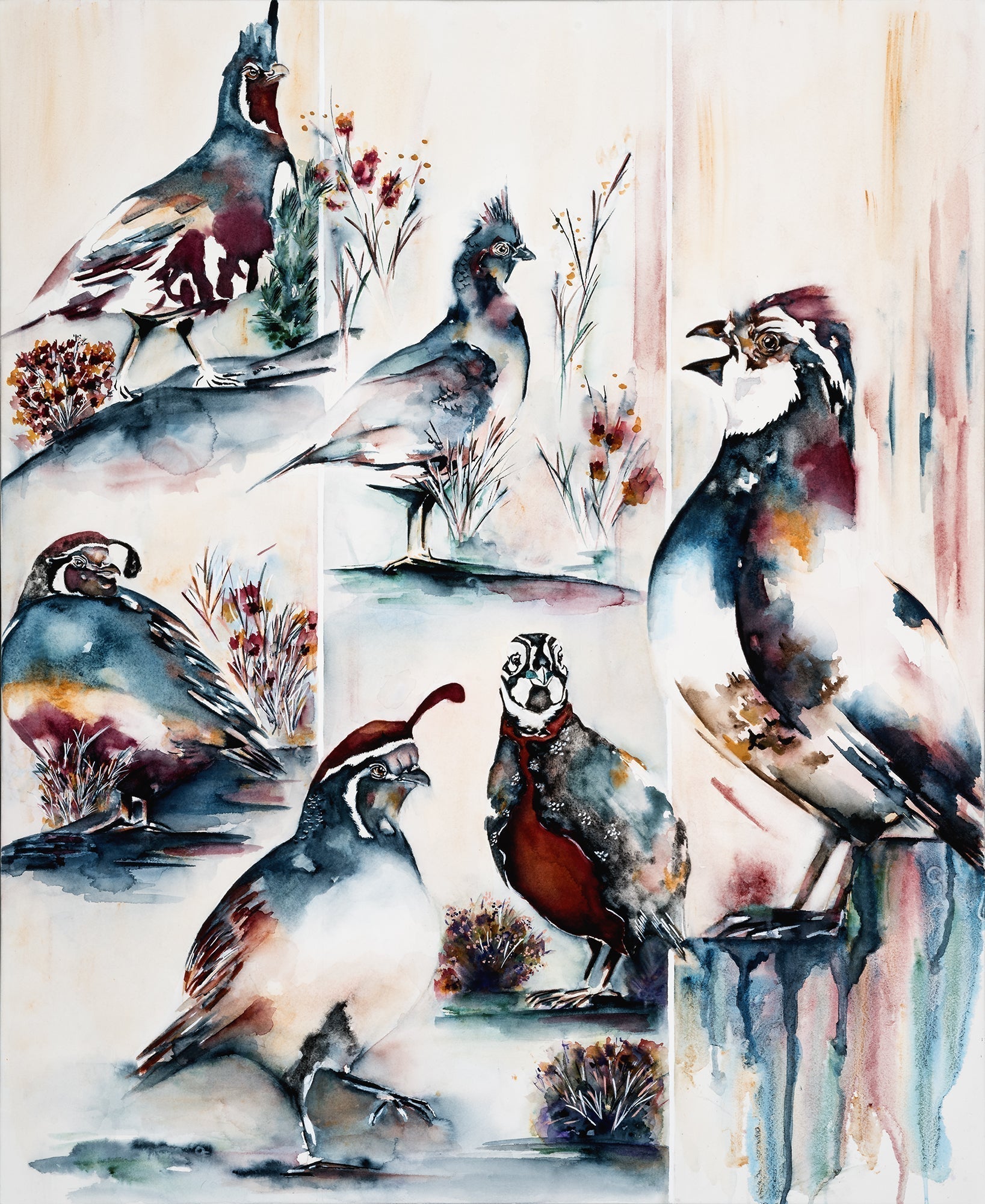 Quail Forever 25th Anniversary Print & My Adventure in Conservation ...