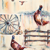 Pheasant in Color