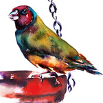 Colorful Watercolor Bird Print at Water Bowl