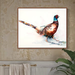 Pheasant, wildlife art, watercolor