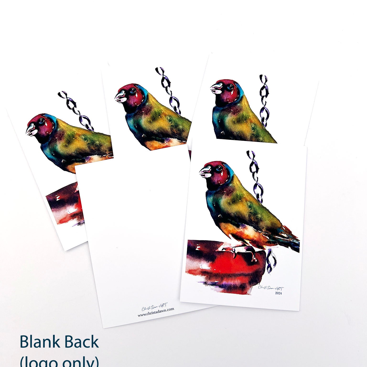 "Hopeful Expectations" Colorful Watercolor Bird Greeting Card Set_blank back_logo only